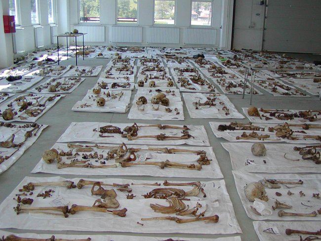Kosterní pozůstatky jsou po vyjmutí ze země očištěny, prozkoumány antropologem a je odebrán vzorek kosti pro analýzu DNA. Při velkém počtu koster jsou pro dočasné uložení těl používány, tak jako v tom