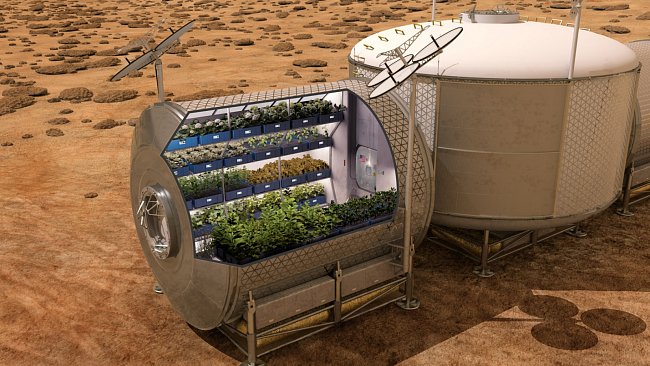 Tým Scotta Kellyho nyní testuje systém pro pěstování zeleniny a jiných rostlin. Kromě doplňků stravy by mohlo být zahradničení příjemnou rekreační aktivitou během dlouhých misí.
