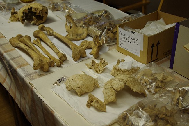 Kosterní pozůstatky jedince ženského pohlaví z archeologického naleziště u silničního obchvatu Kolína, kde byly nalezeny desítky pozůstatků pravěkých sídlišť a pohřebišť.