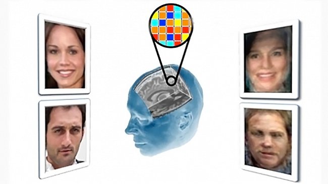 Skenování mozku odhalilo tváře lidí, které testovaný viděl