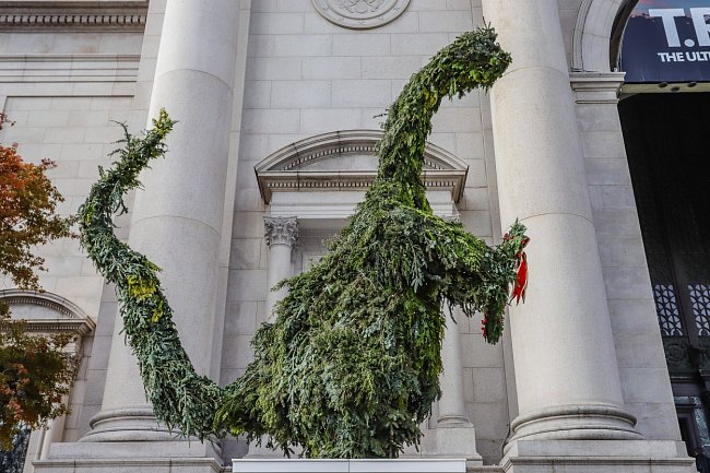 Před přírodovědným muzeem v New Yorku je netradiční vánoční stromek ve tvaru dinosaura.