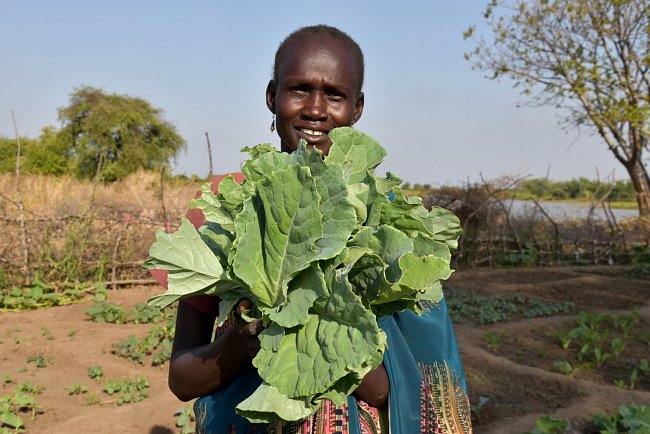Lidé se učí pěstovat zeleninu na komunitních zahrádkách. 