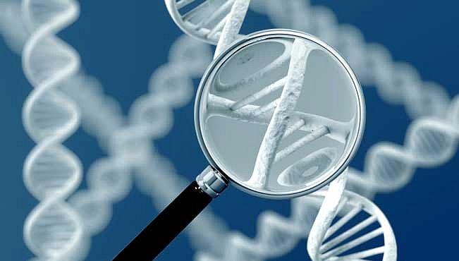 Uvnitř lidské DNA se skrývá druhý, dosud utajený kód života