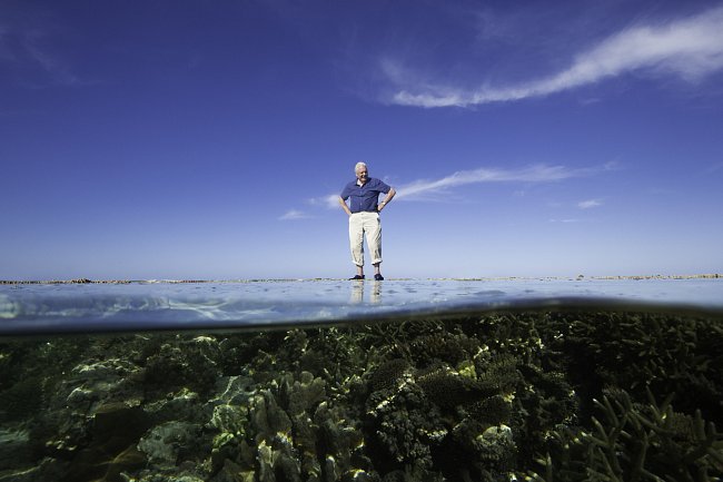 Sir David Attenborough se na Velký bariérový útes vrací po šesti dekádách a nachází ho v žalostném stavu. Ale nevzdává se, neboť přímo v rámci dokumentárního seriálu představuje způsob, jak jeden z nejvýznamnějších ekosystémů na světě zachránit.