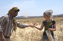 Ali Shakaiteer a vedoucí týmu Amaia Arranz-Otaegui sbírají pšenici pro další zkoumání.