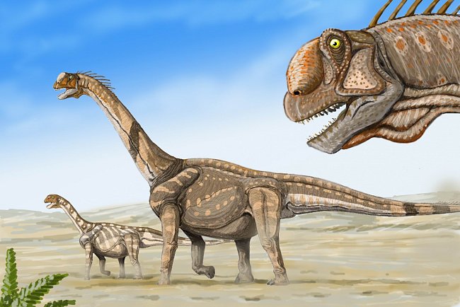 Camarasaurus Supremus byl přímý předek, nebo dvakrát použitý evoluční vzor?