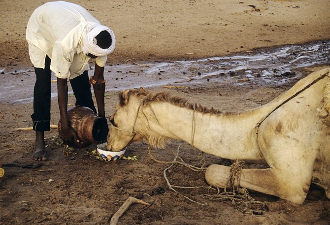 Súdánský zápas o vodu