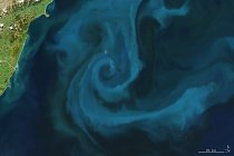 Písmeno E – Kvetoucí fytoplankton kousek od pobřeží Nového Zélandu