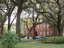Nádherné, majestátní, staleté stromy s bizarně zkroucenými větvemi jsou chloubou Savannah.