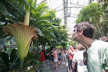 Červenec 2013: Davy lidí si nenechaly ujít pohled na květ v Národní botanické zahradě ve Washingtonu.