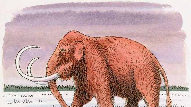 Na Sibiři našli zbytky zachovalých těl mamutů. Rusové je už zase chtějí klonovat 