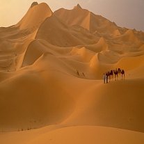 Ztracené kmeny zelené Sahary