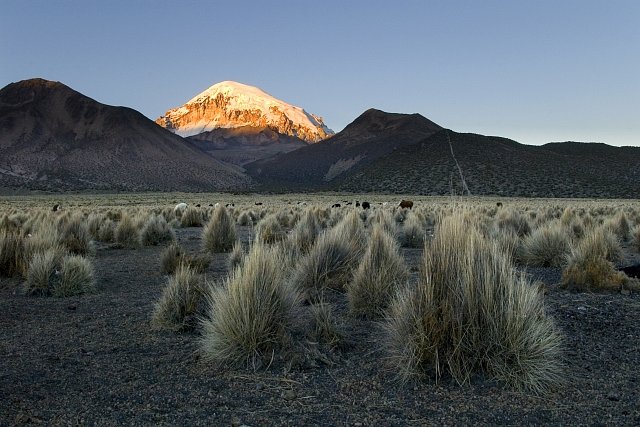 Sajamský park se nachází na rozsáhlé náhorní plošině v nadmořské výšce kolem 4 000 m n.m. Altiplano (šp. náhorní rovina) odděluje západní a východní Andy. Po Tibetské plošině je nejrozsáhlejší na Zemi