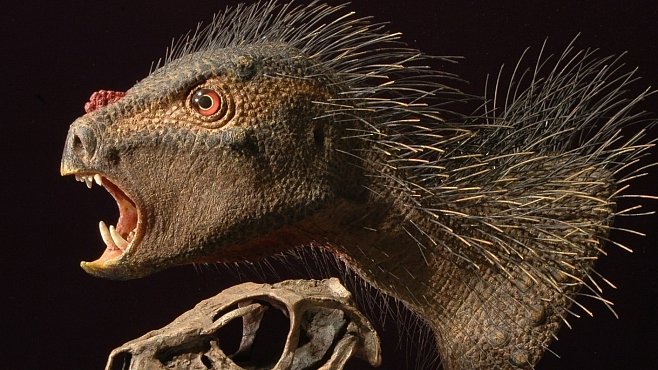 Bizarní trpasličí dinosaurus měl upíří zuby, zobák a ostny jako dikobraz