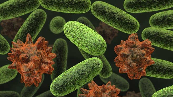 Věk antibiotik končí. Budeme opět umírat na infekce?