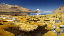 Jezero Chiarkhota vnárodním parku Sajama v Bolívii. Nejstarší národní park v zemi byl založen roku 1939 a měl chránit především lamy, kterým hrozilo vyhynutí. Park je obrovský – jeho rozloha je zhruba