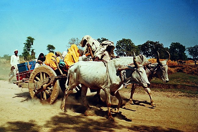 Indičtí kočovníci s tradičním vozem, Karnátaka (Indie), 1963. 