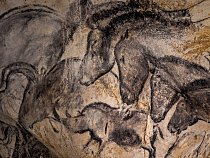 Malby koní a další úžasné výtvory v Chauvetově jeskyni byly objeveny v roce 1994. Jsou „pozoruhodným dokladem prvního setkání člověka s dobrodružstvím umění“, říká francouzská ministryně kultury Fleur Pellerinová.