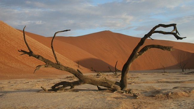 OBRAZEM: To nejlepší z expedice s National Geographic v Namibii 