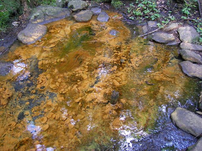 Sirný pramen se shluky \"okrové bakterie\" je přírodní zajímavost nacházející se mezi Novou Hutí a Horní Světlou v Lužických horách, v katastrálním území Horní Světlá pod Luží obce Mařenice.