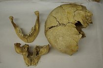Lebka jedince ženského pohlaví z archeologického naleziště u silničního obchvatu Kolína, kde byly nalezeny desítky pozůstatků pravěkých sídlišť a pohřebiš.