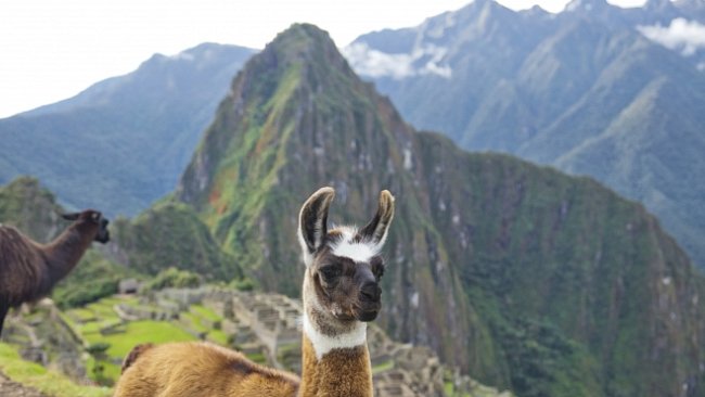 Čeští přírodovědci zkoumají hrozbu, která se vznáší nad Machu Picchu