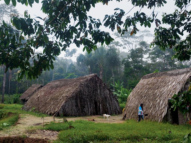 Waoraniové byli kdysi polokočovníci žijící v domech pokrytých palmovými listy, jako zde ve vesnici Cononaco Chico. Dnes je většina trvale usedlá a bydlí v domech ze dřeva a betonu.