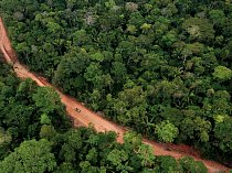 Půda pro více než 19 kilometrů silnice, kterou staví ropná společnost Petroamazonas, byla odlesněna uvnitř parku. Ochránci prostředí mají obavy, neboť po této silnici se mají dopravovat dělníci a stro