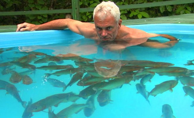Jeremy Wade v bazénu plném piraní