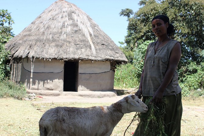 Pomocí Skutečného dárku se značně zlepšil život například Betuly Godebo z jižní Etiopie.