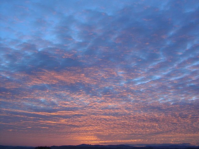 Altocumulus