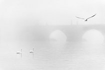 Mlhavý prosinec u Karlova mostu