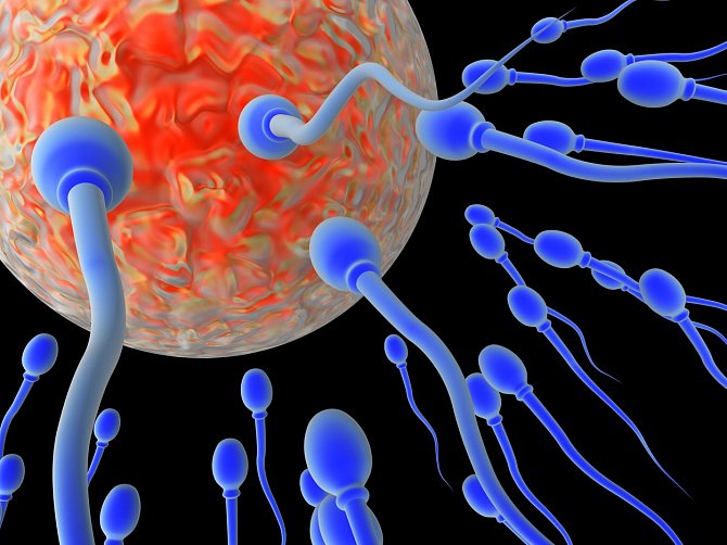 Dosud byla mužská infertilita spíše opomíjena a medicína se zaměřovala hlavně na ženskou neplodnost.
