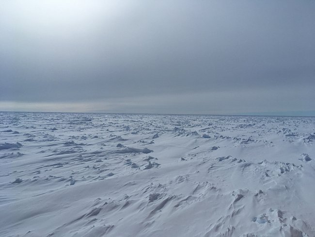 Ledoborec se v této části ledovými poli prokousává velmi obtížně.