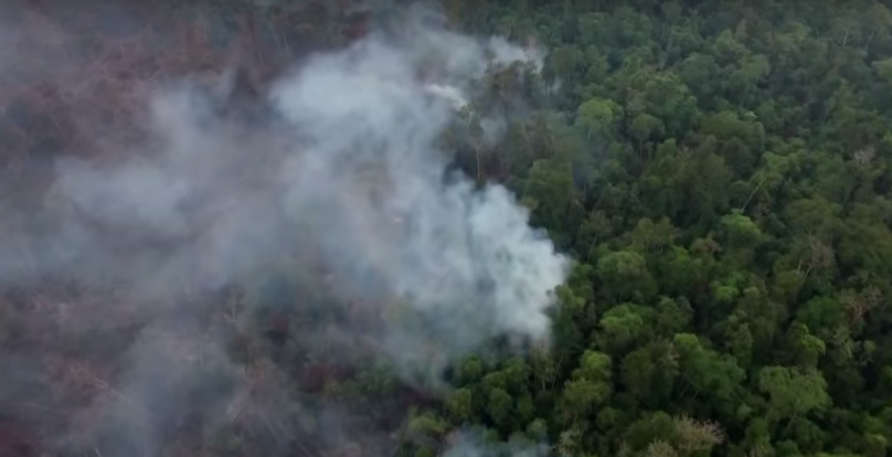 Indonésie trpí nekontrolovatelným vypalováním deštných pralesů