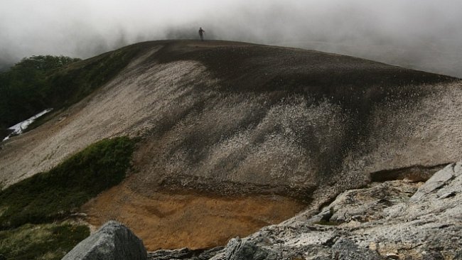 Za vulkány Chile (VII.): Cerro Frutilla aneb Bambusovým lesem na Jahodovou louku 