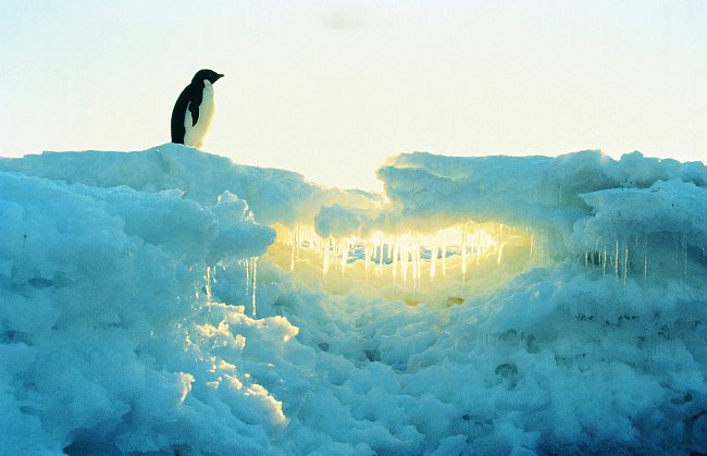 Nehostinná Antarktida je místem, kde byla naměřena nejnižší teplota (–89,2 °C na ruské základně Vostok).