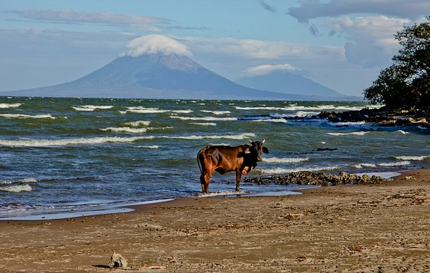 Pohled na oba ostrovní vulkány z pláže El Menco