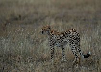  Fotografickou výuku povede lektorský tým renomovaných fotografů Jana a Soni Karbusických.