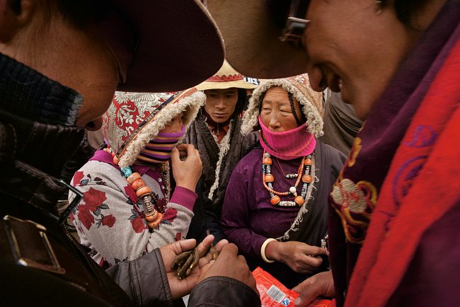 Tibetští prodejci smlouvají s městskými kupujícími, jako je muž vlevo v Šeršülu, podle předvídatelného rituálu: kupující zpochybňují kvalitu „červů“. Než se uzavře obchod, prodávající předvedou své zb