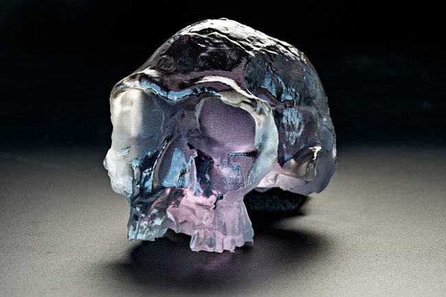 Replika 1,9 milionu let staré lebky Homo habilis vyrobená z polymerové pryskyřice vzniká v průběhu 15 hodin v 3D tiskárně. 