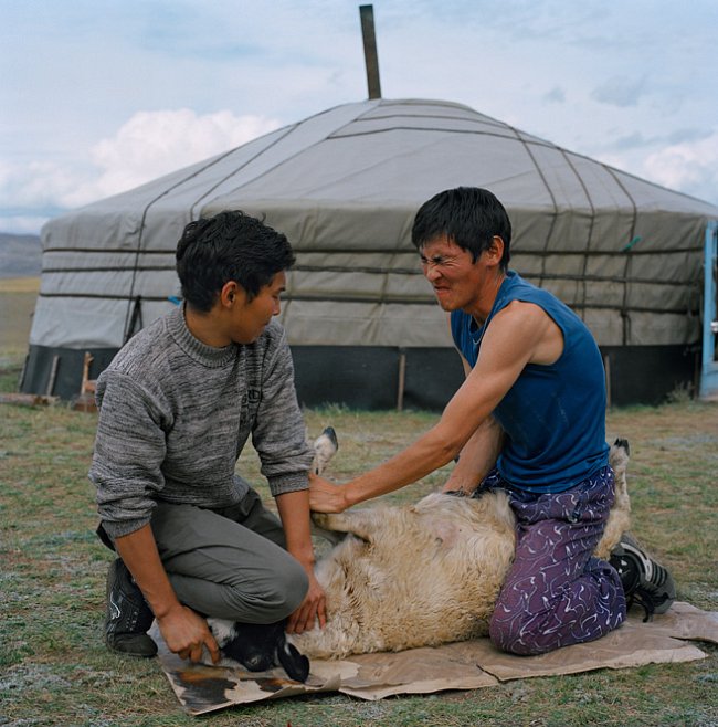 V tuvinštině khoj özeeri znamená nejen porážku zvířete, nýbrž i vlídnost, lidskost a rovněž obřad, při kterém rodina dokáže ovci zabít, stáhnout ji z kůže a tu nasolit, zpracovat maso.