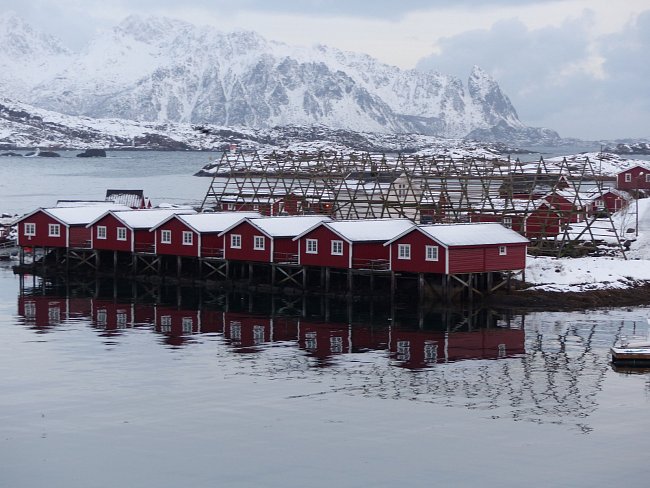 Svolvær, místo, kde se loví treska nejvíce na světě – od ledna do dubna. Norsko, leden 2015.