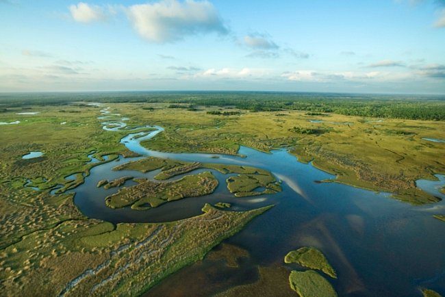 Národní park Everglades je třetím nejnavštěvovanějším americkým parkem (po Yellowstone a Death Valley).