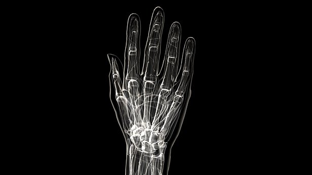 „Ruka“ různých obratlovců má stejnou základní anatomickou stavbu: pět prstů připojených k soustavě kostí zápěstí, odkud vedou dvě kosti předloktí k jedné dlouhé kosti připojené k rameni.
