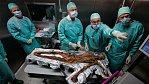 Rozhovor jen pro National Geographic: Ötziho poslední jídlo