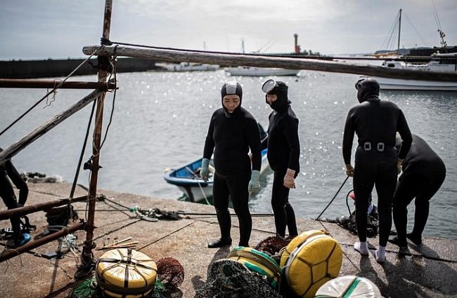 TOBA, JAPONSKO - Potápěčky, které si říkají „ama“, si udržují své komunity po tisíce let. Ve městě Toba sbírají mořské plody v hloubkách do 20 m bez kyslíkových přístrojů. Svém umění učí i další pro propagaci kultury udržitelnosti životního prostředí.