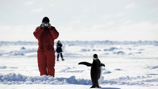 Antarktická sezóna 2012-2013 na české polární stanici začíná. Čím bude výjimečná?