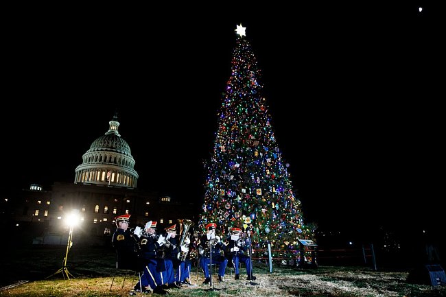 Vánoční strom před Capitolem ve Washingtonu.