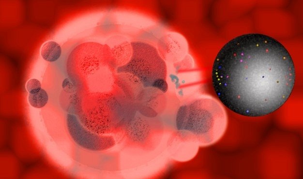 Vědci vyvinuli nano- a mikročástice. Mohou usnadnit léčbu a zrychlit diagnózu